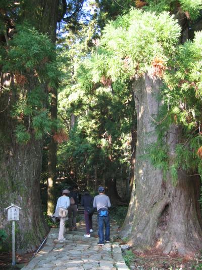 南紀・熊野ゼミ旅行?-熊野古道&那智大社-