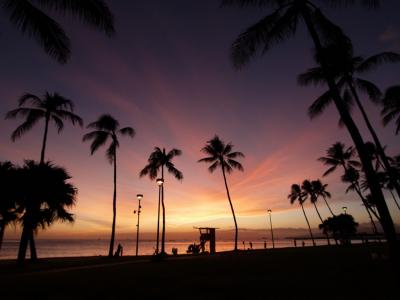 Ｈａｗａｉｉａｎ　Ｌａｎｄｓｃａｐｅ　Vol 1