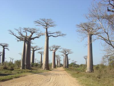 期待ハズレもはなはだしい！