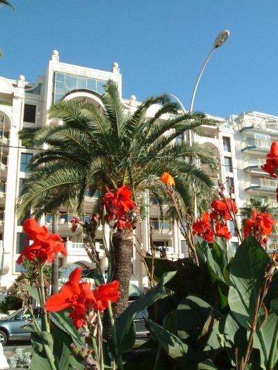 ニース&amp;カンヌde11月のバカンス