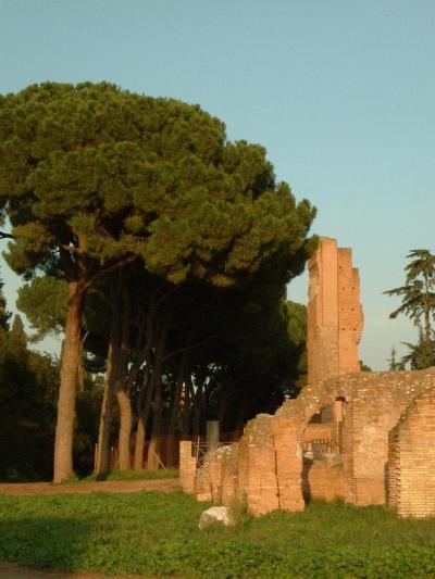 世界遺産と夜景! ロマンティックローマ