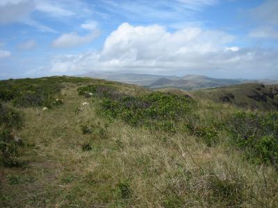 イースター島 ’05