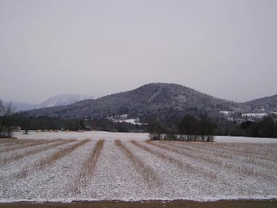 ミニ・アルプス越え(5)  冬景色のクラーゲンフルト