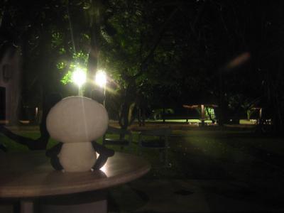 スリランカの旅