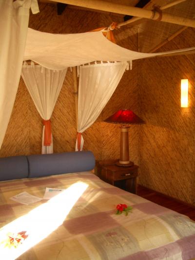 フィジー旅行の日記?