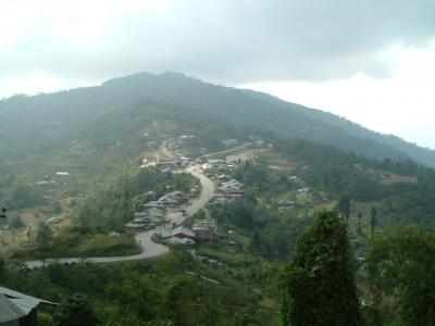 ネパール　茶園に。