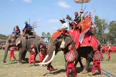 スリンの象祭り　　象がたくさんいて町中が賑やか・・