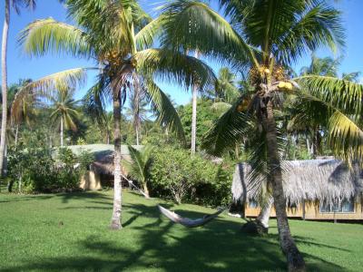 フィジー旅行の日記?