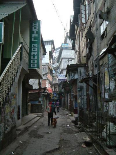 インド　ダージリン　