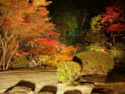 南禅寺 天授庵の紅葉を見に行きました