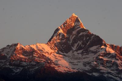 ヒマラヤ・ネパールの旅 6・・旅いつまでも・・