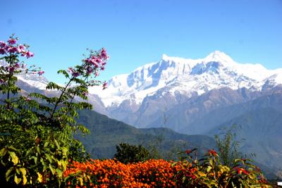 ヒマラヤ・ネパールの旅 9・・旅いつまでも・・