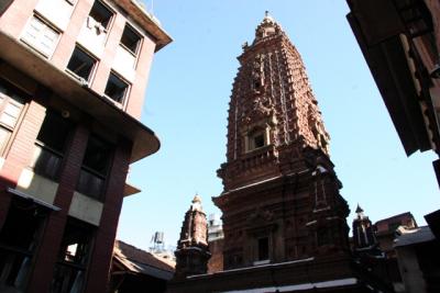 ヒマラヤ・ネパールの旅 17-3・・旅いつまでも・・