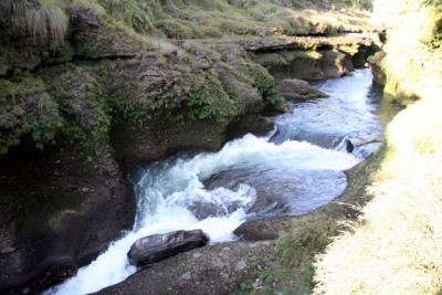 ヒマラヤ・ネパールの旅 19-3・・旅いつまでも・・