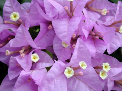 シンガポール01