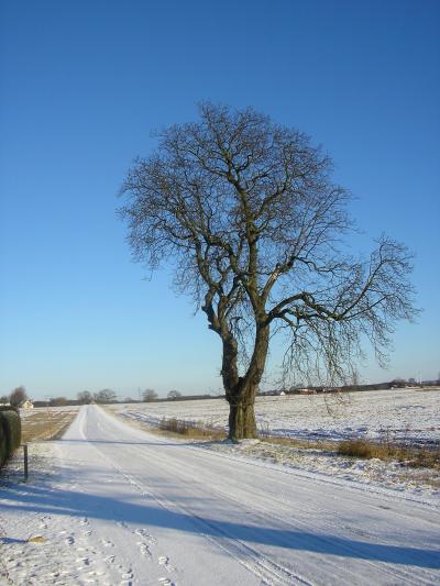 Skaneleden i Rolsberga