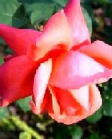 ヨーロッパに新幹線時代がやって来た【7】ＥＵの熱心さ　フランス・スペイン連絡そしてスカンジナビア