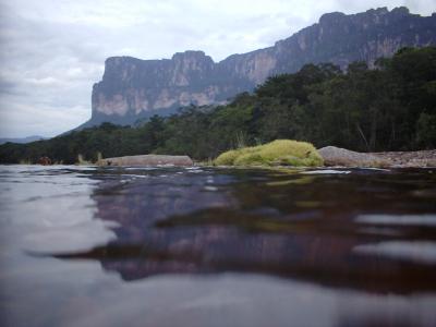 ベネズエラ＋カナダ（４/６～４/19）