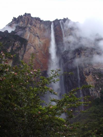 ベネズエラ＋カナダ（４/６～４/19）