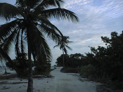 メキシコ～グァテマラ～ホンジュラス（５/25～６/14）