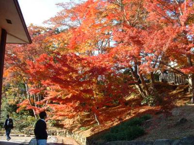 2001  金剛・葛城山麓、當麻寺の紅葉です。