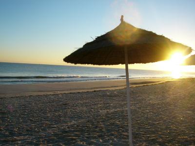 05～06年チュニジア10日間の旅?