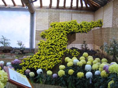 第10回 日韓恋愛日記 「紅葉狩りに失敗する」