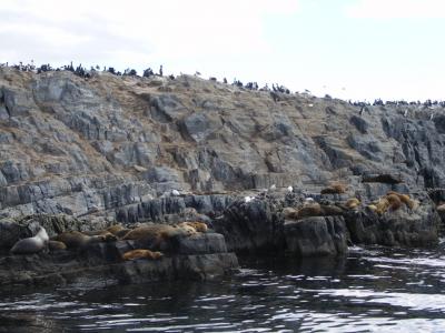 ビーグル水道クルーズ