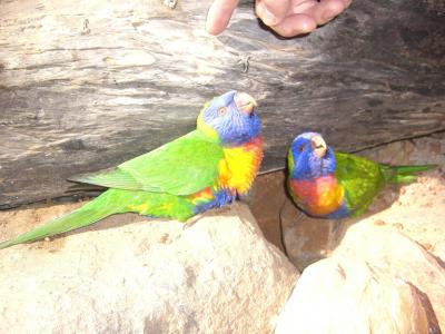 (2/2)★沖縄・名護での三連休★