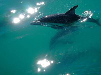 NZでワーホリの日々 クライストチャーチから小旅行