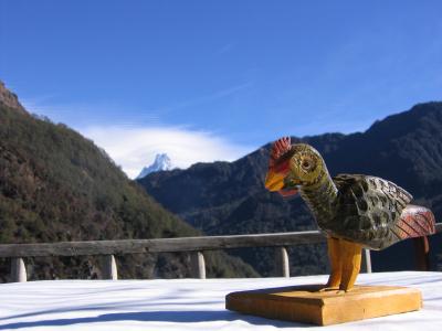 自然、宗教、人の優しさを満喫しにネパールへ