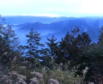 クリスマスの阿里山。
