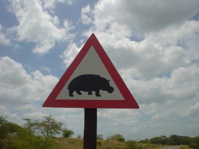 RSA northern coast ウミガメの産卵