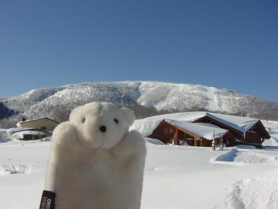 志賀高原吹雪の旅