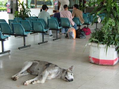 バックパッカーな旅　36　ミャンマ ーへ?