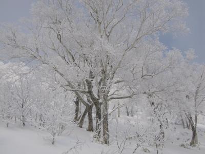 北海道ひとり旅～2006冬編　その１