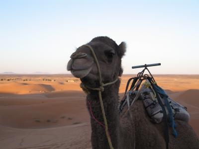 モロッコ旅行