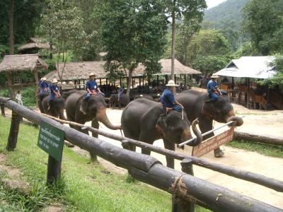 タイ　チェンマイ旅行