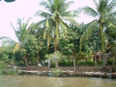 ヴィンロンへの船の旅?　メコンを西、ヴィンロンに向かって