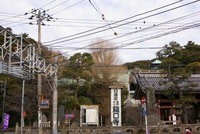 江ノ電もなかと竜口寺