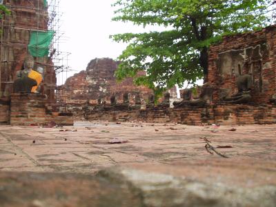 アユタヤの歴史を守ろう!