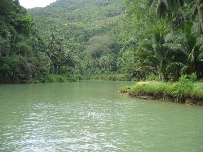 Loboc RiverとTarsier