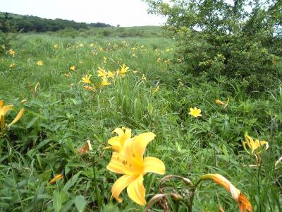7月のビーナスライン&霧ヶ峰