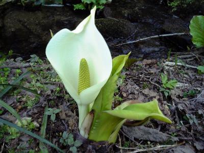 北海道・上士別