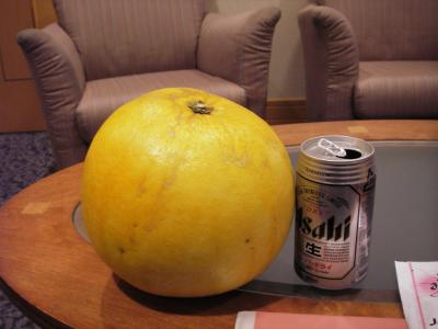 でっかいミカンと阿蘇山を求めて…