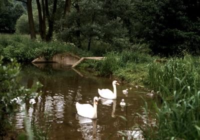 1988年のヨーロッパ 15、西ドイツ編、その3 (北ドイツの風景&メルヘン街道の街etc)