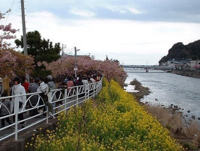 河津桜とガラス＆陶芸体験旅行