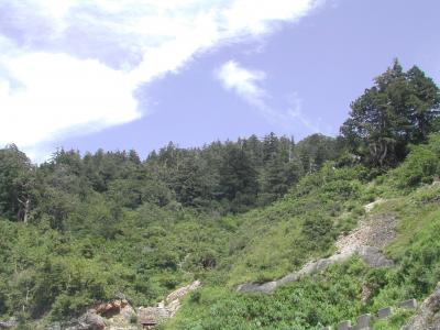 白山スーパー林道