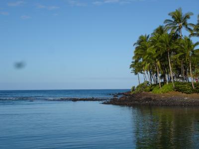 陸マイラー、ハワイ島上陸大作戦っ!!
