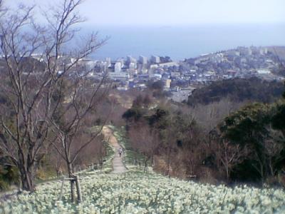 ★北部九州の初春のスナップ・・・その３・「北九州市門司区・白野江植物公園」